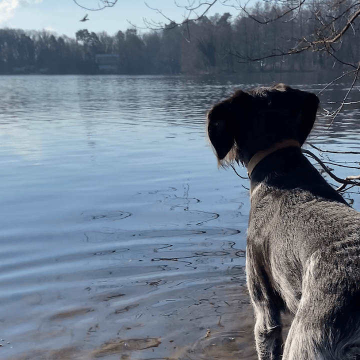 Braja am Wasser