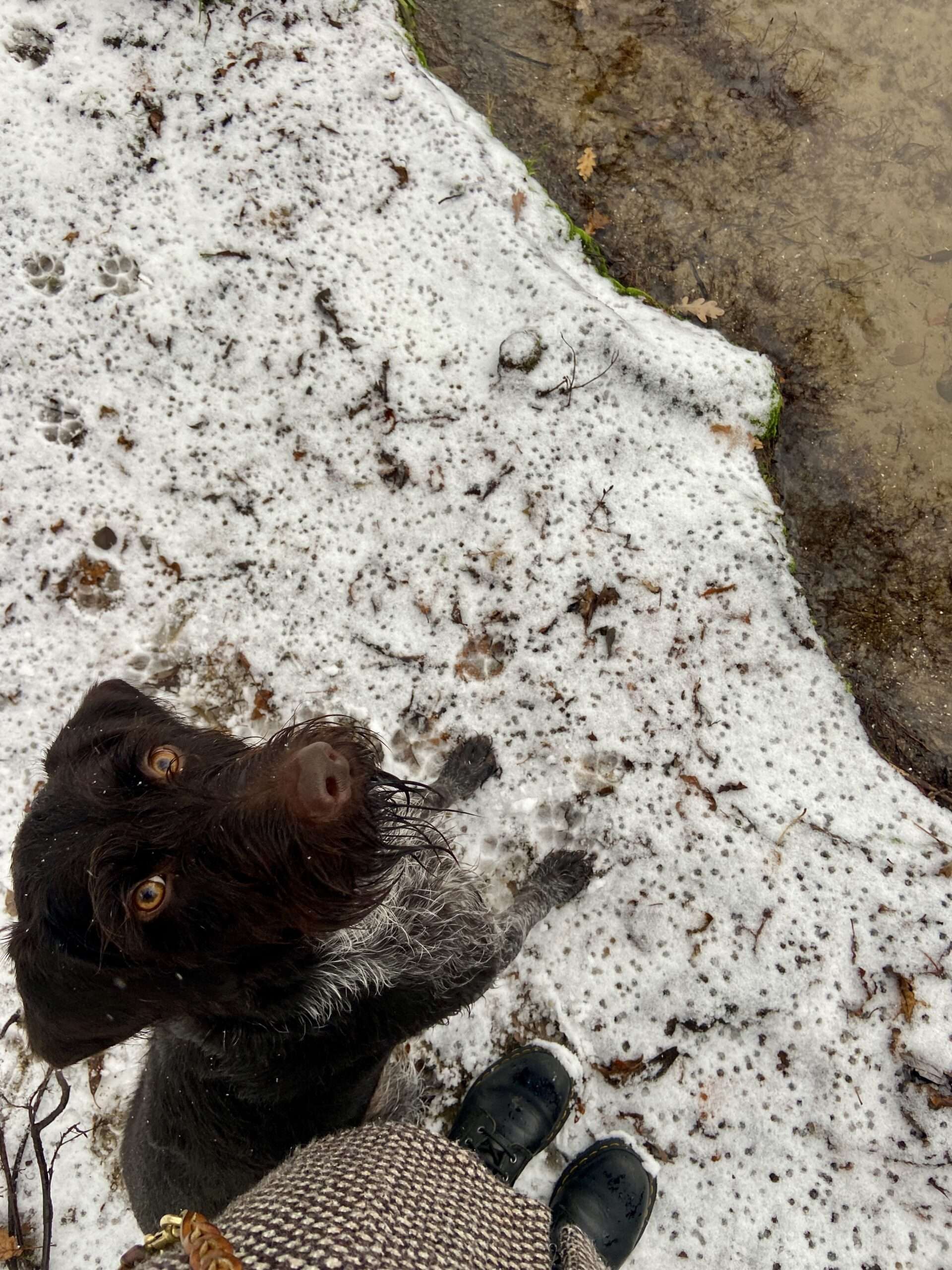 mit Braja am Ufer mit leichtem Schnee