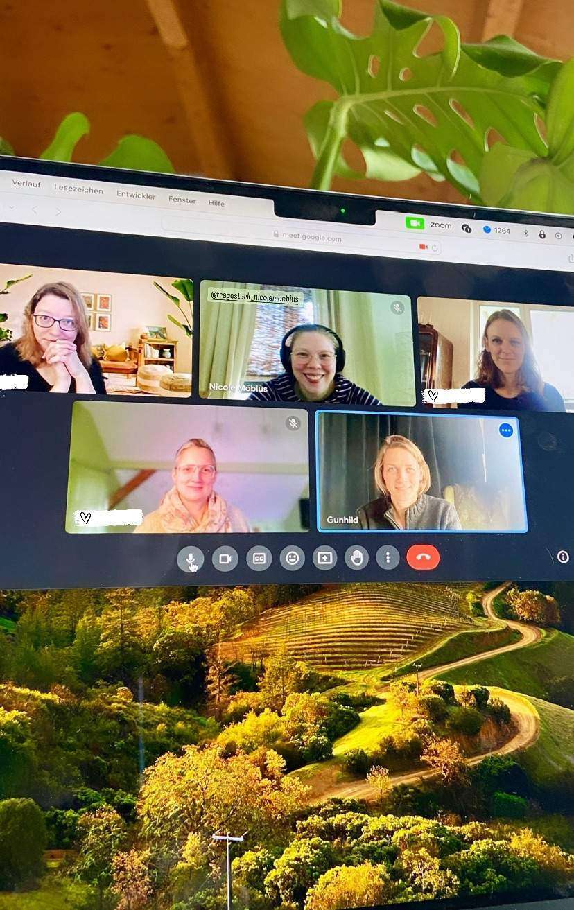 Screenshot vom Zoommeeting