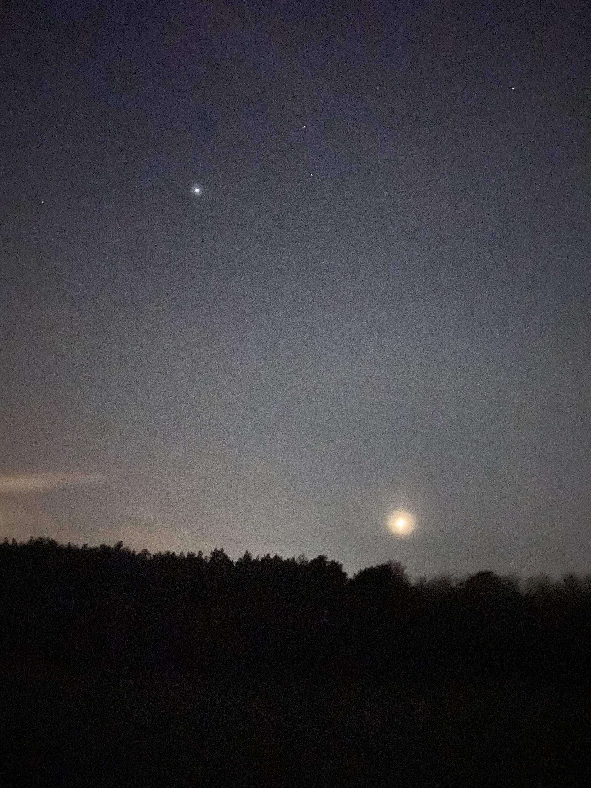 Mond über dem Wald