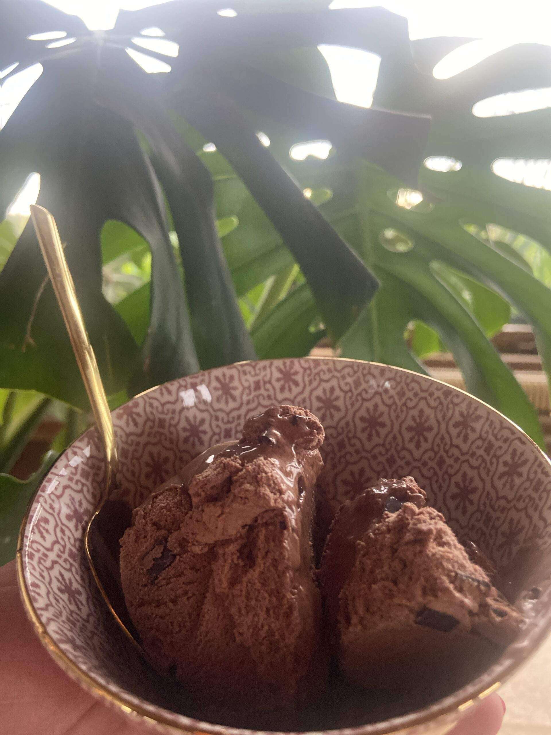 Schokoladeneis in einem Schälchen mit Goldrand vor einer Monstera.