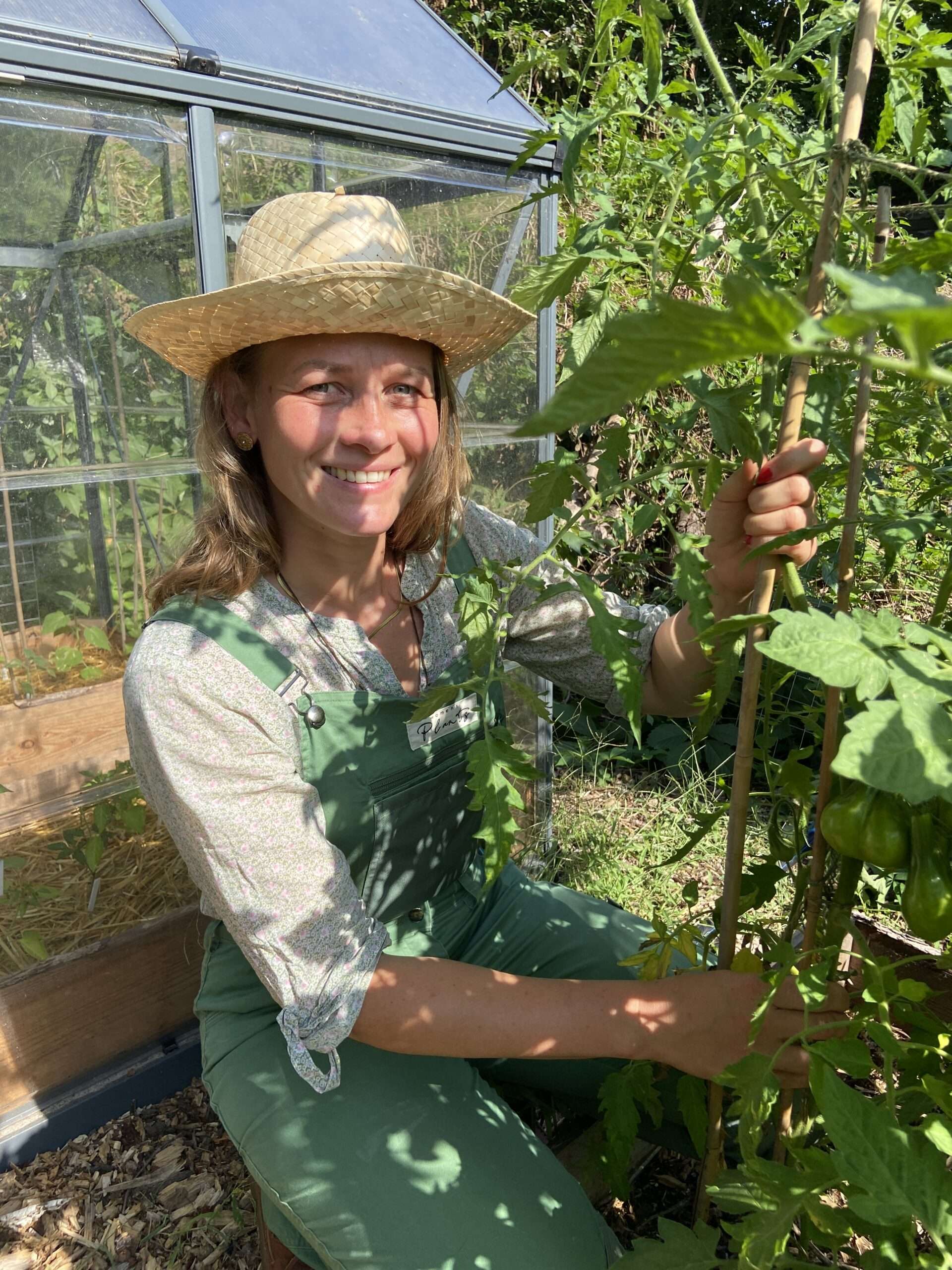 Gunhild Rudolph kniet in Tomaten mit noch grünen Früchten.