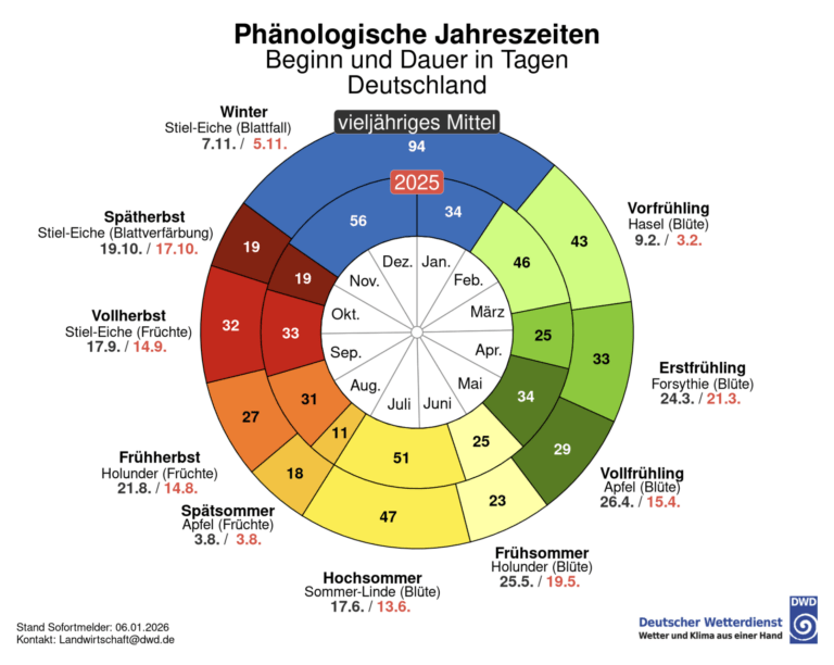 Phänologische Uhr 2025 des Deutschen Wetterdienstes für Deutschland als Grundlage für naturnahes Gärtnern und Gartenberatung