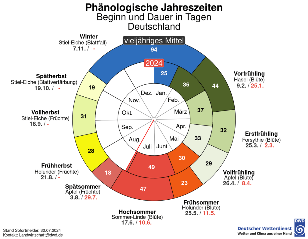 Phänologischer Kalender 2024