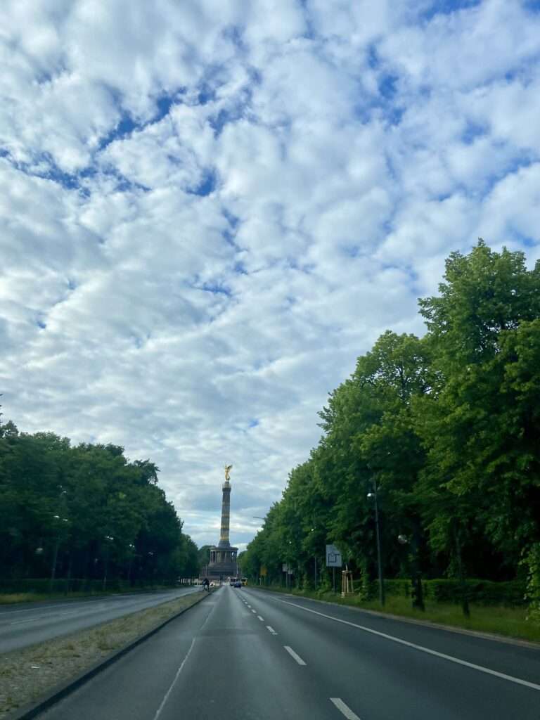 Goldelse im Großen Tiergarten Berlin auf der Siegessäule