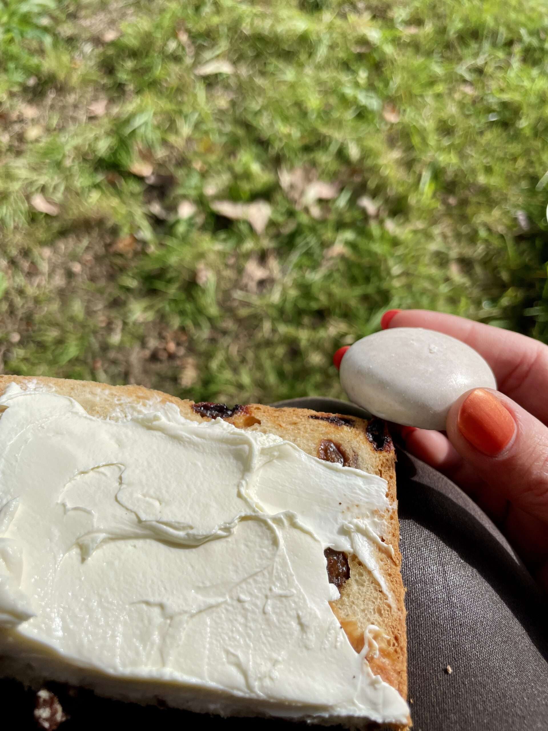 Rosinenbrot mit Quark und Pfeffernüsse als Stärkung