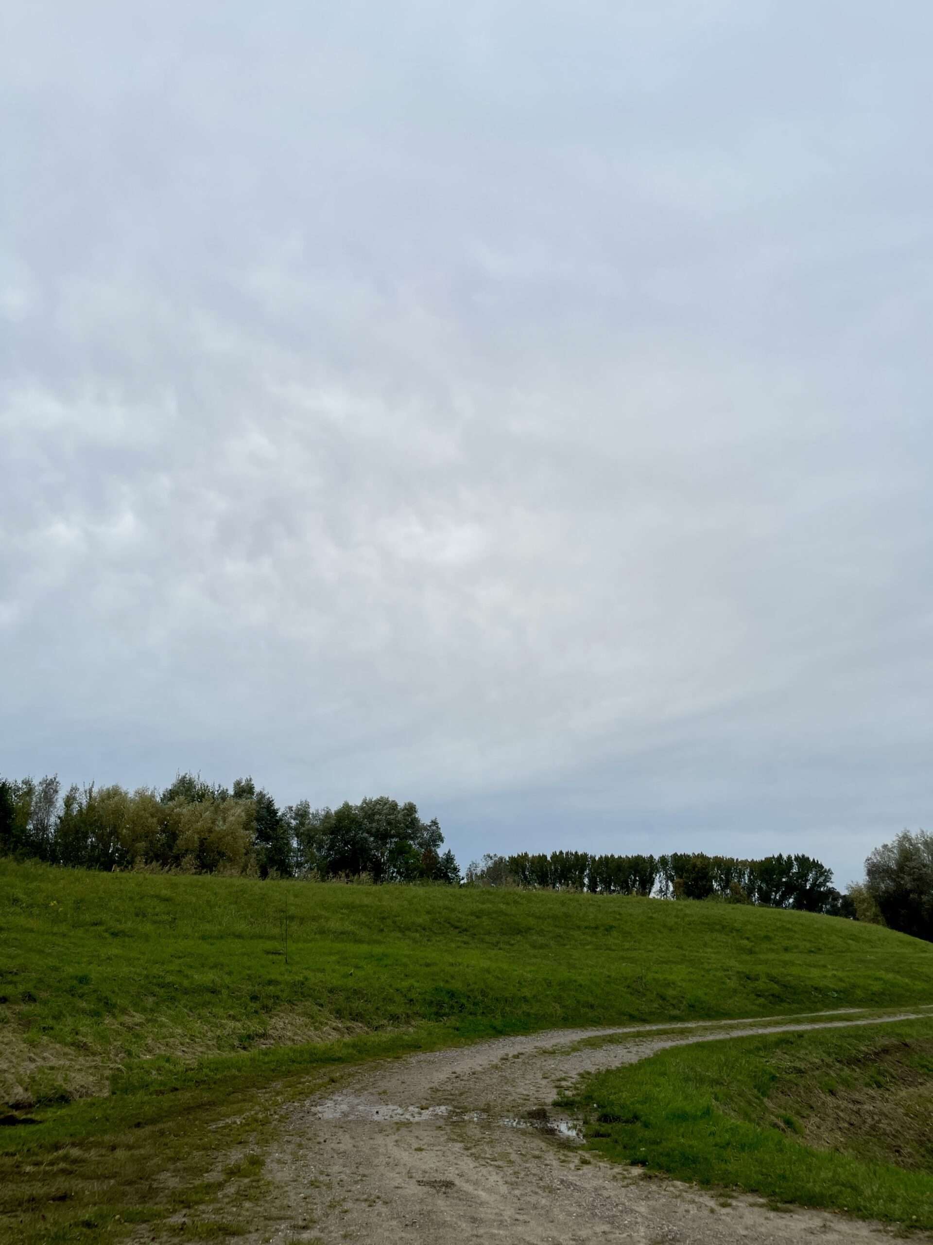 Grüner Deichwall, dahinter dunkle Wolken