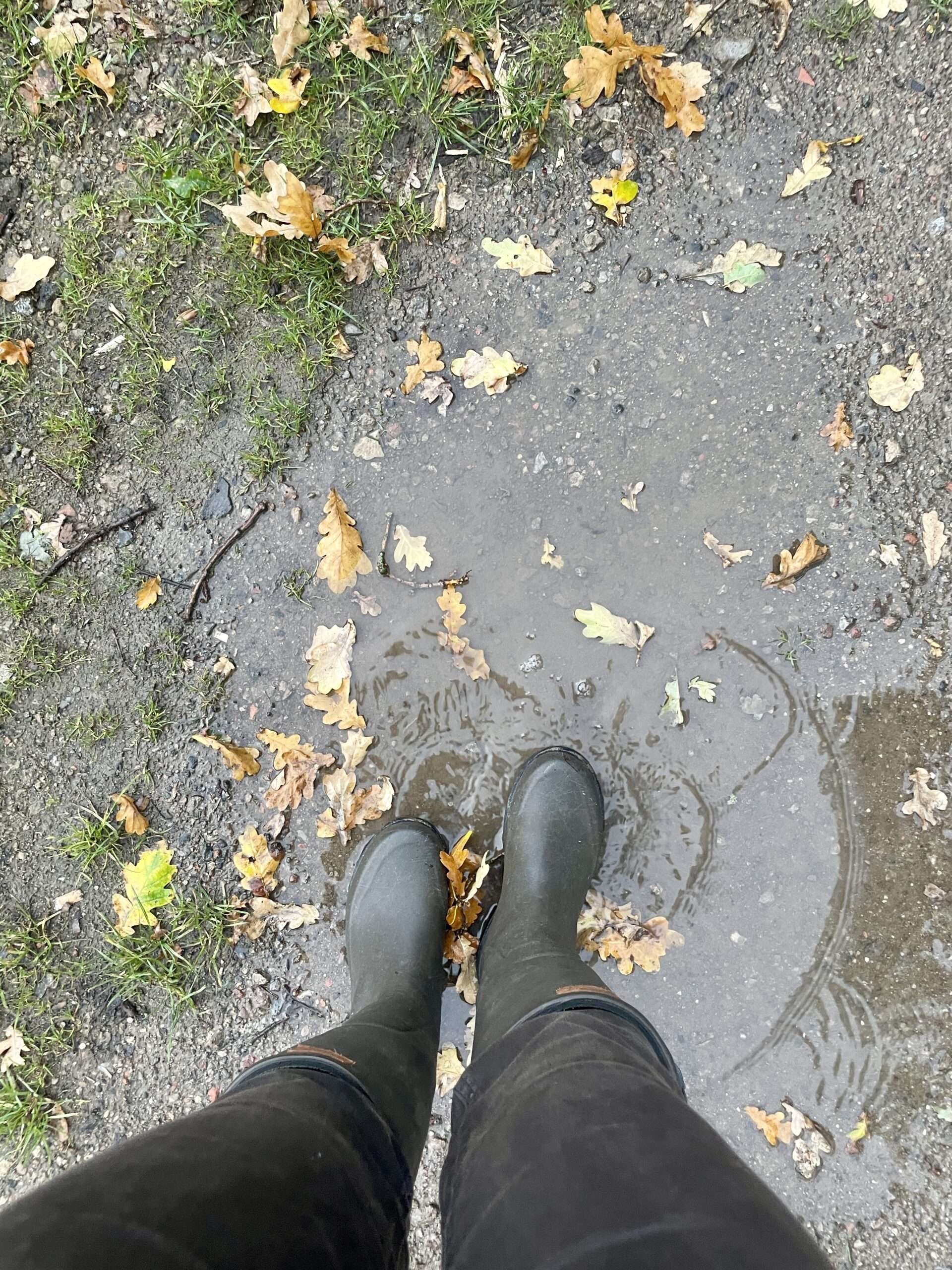 mit Gummistiefeln in der Pfütze, in welcher auch gelbes Eichenlaub vom Herbst liegt