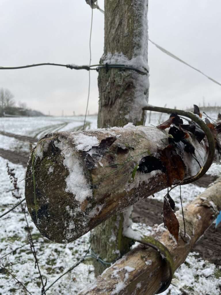 Holztor mit Schnee