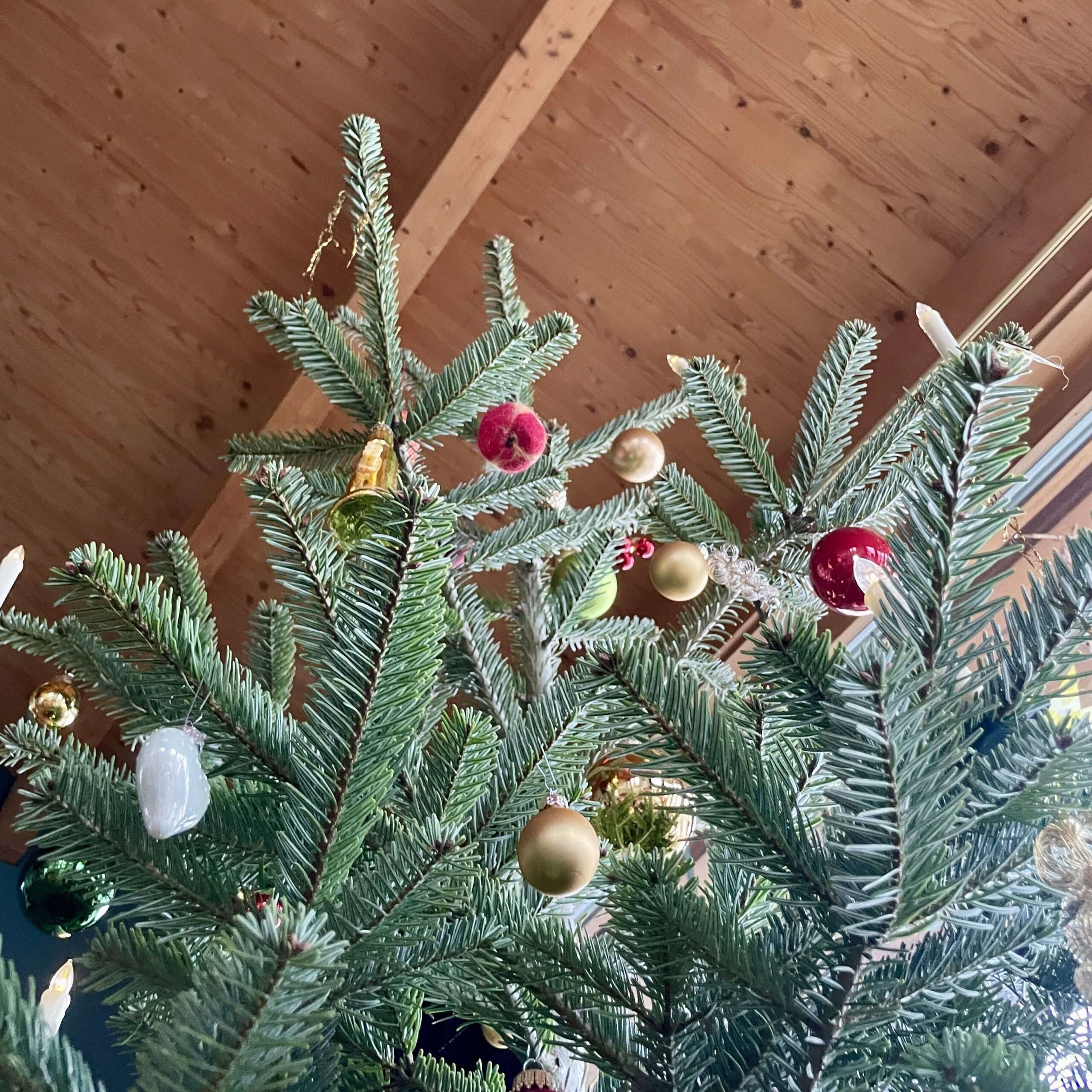 Weihnachtsbaum von unten
