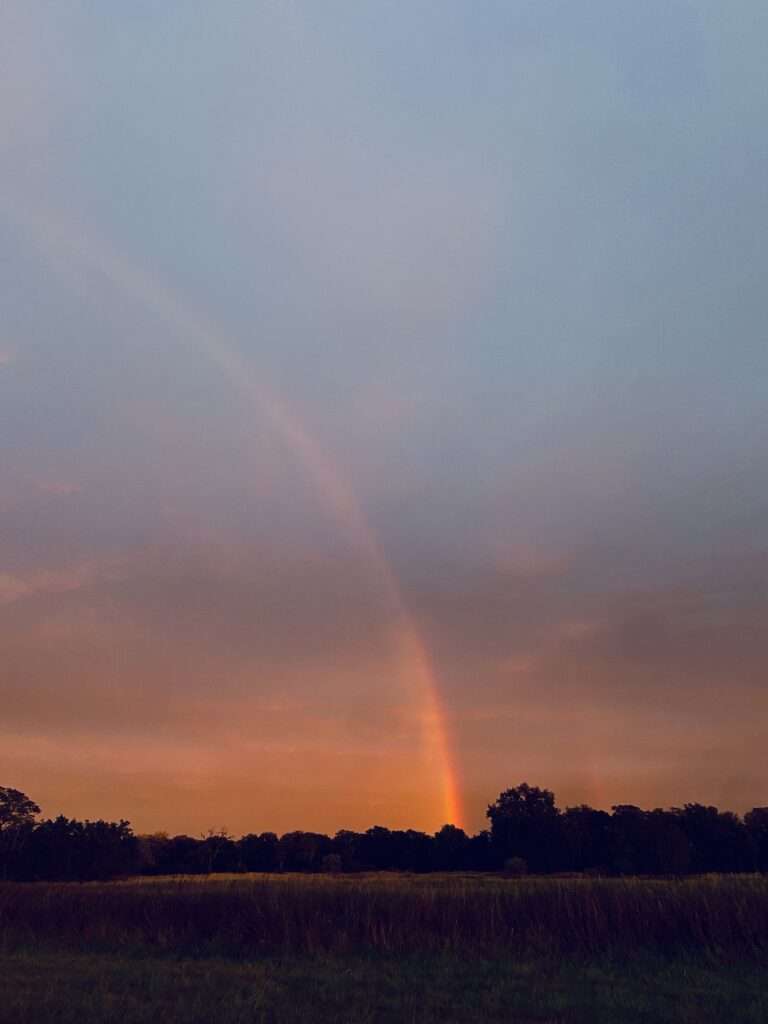 Regenbogen