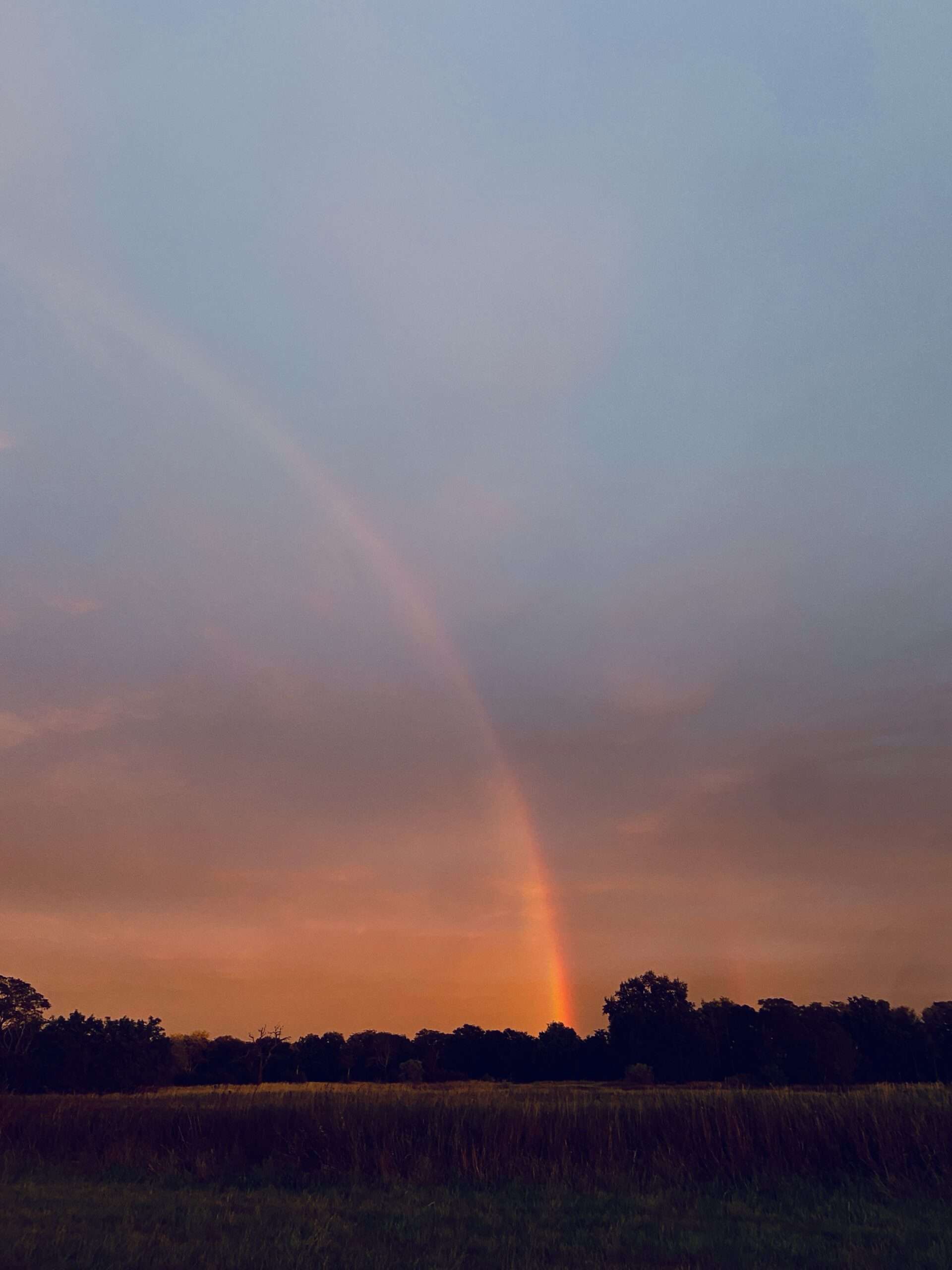 Regenbogen über dem Feld