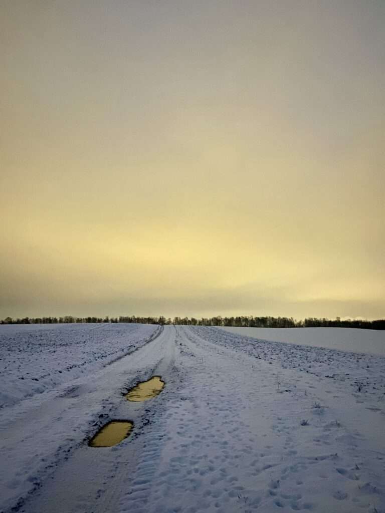 Angestrahlter Stadthimmel hinter einem Schneefeld