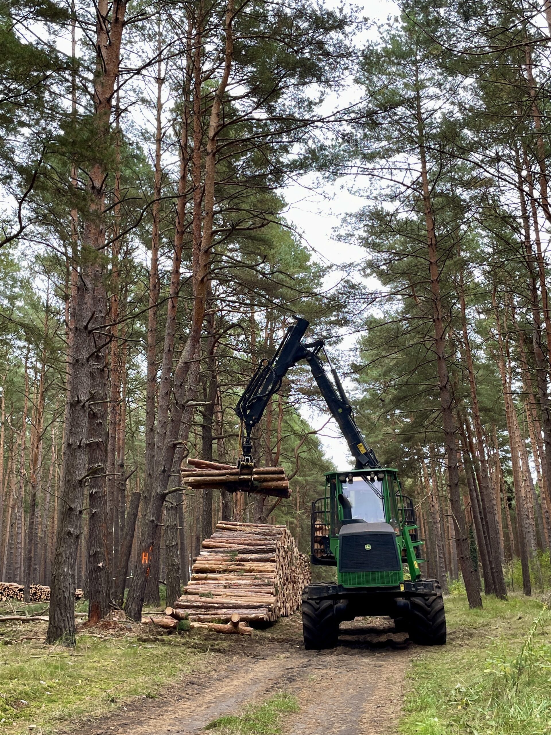 Harvester beim Aufpoltern