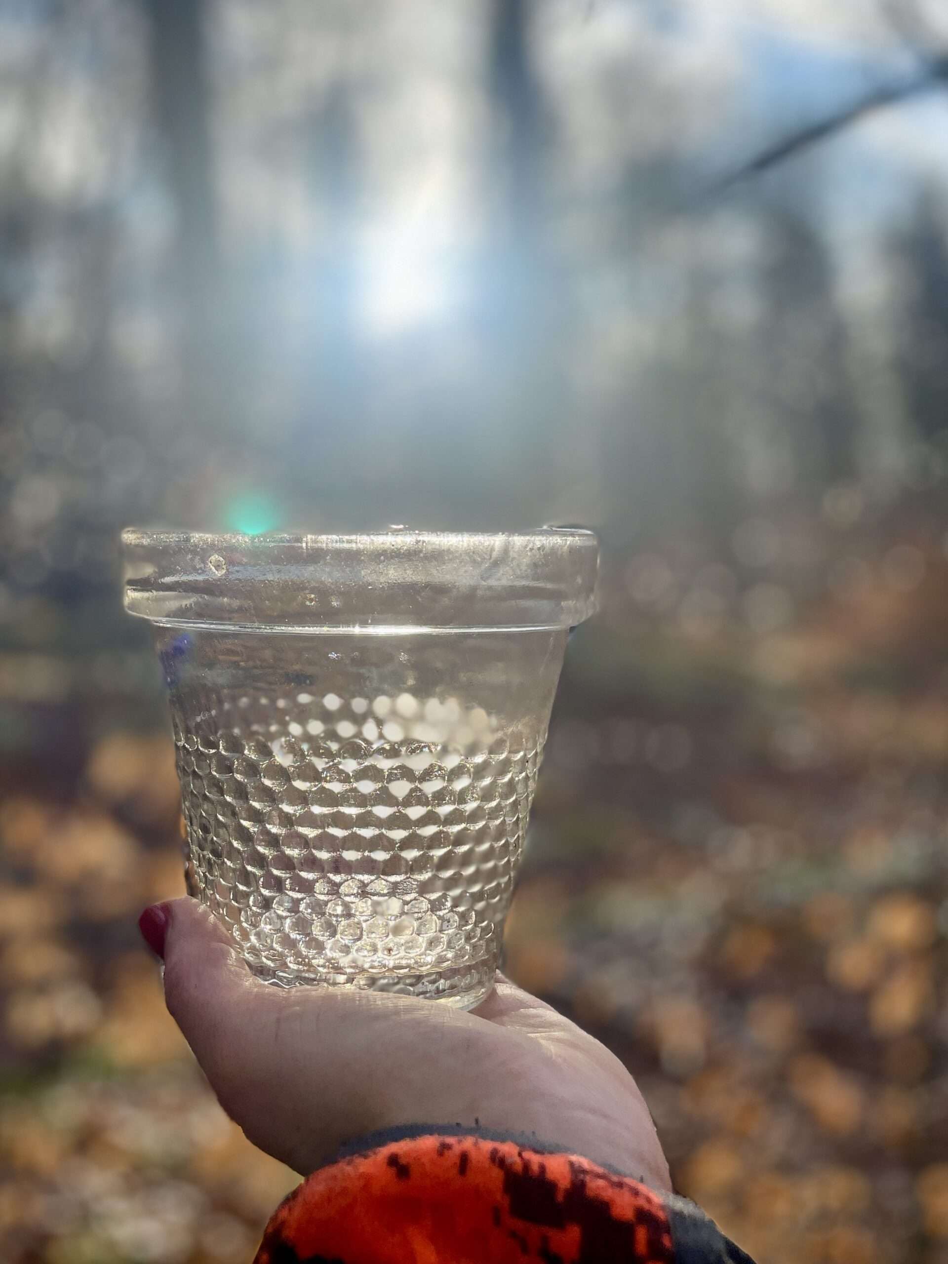 Waldfund Teerglas