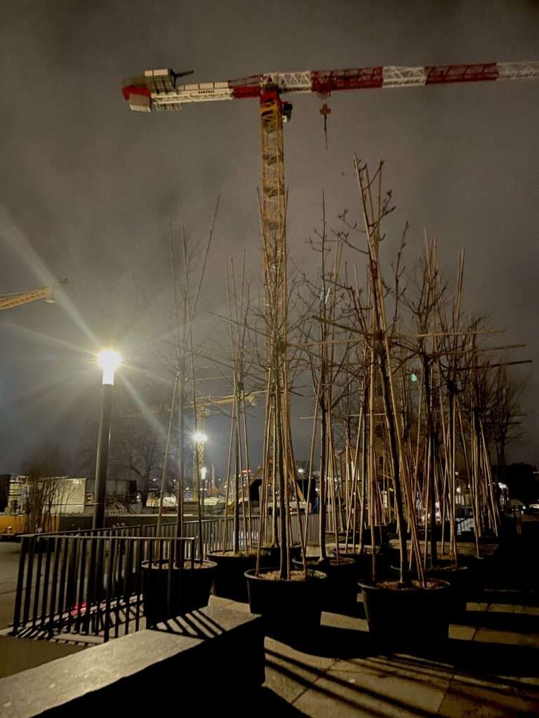 Bäume in Tuppen auf dem Potsdamer Platz, Kulturforum in der Nacht mit Kran im Hintergrund