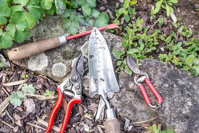 Gartenwerkzeuge auf dem Boden