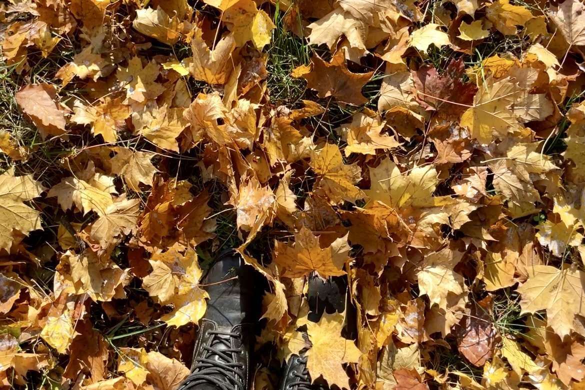 Gunhild Rudolph steht mit schwarzen Stiefeln im goldenen Herbstlaub