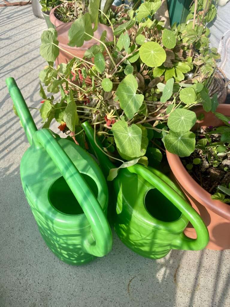 Zwei grüne Gießkannen neben Topfpflanzen auf Terrasse, nachhaltige Gartenbewässerung.