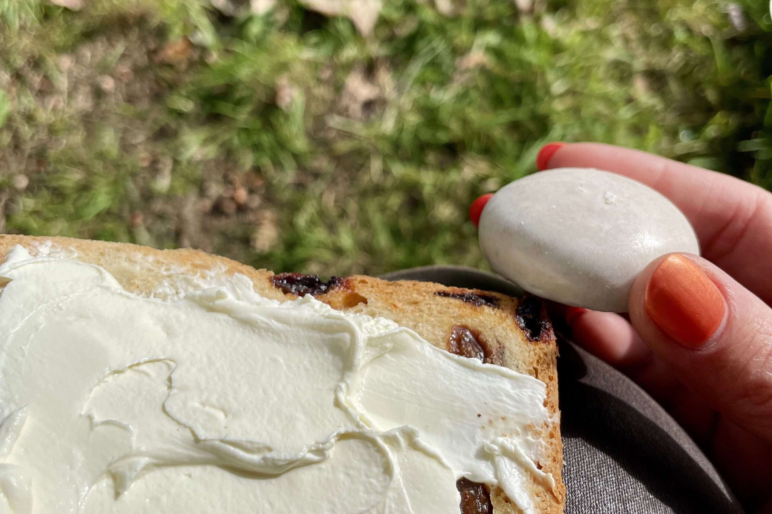 Rosinenbrot mit Quark und Pfeffernüsse als Stärkung