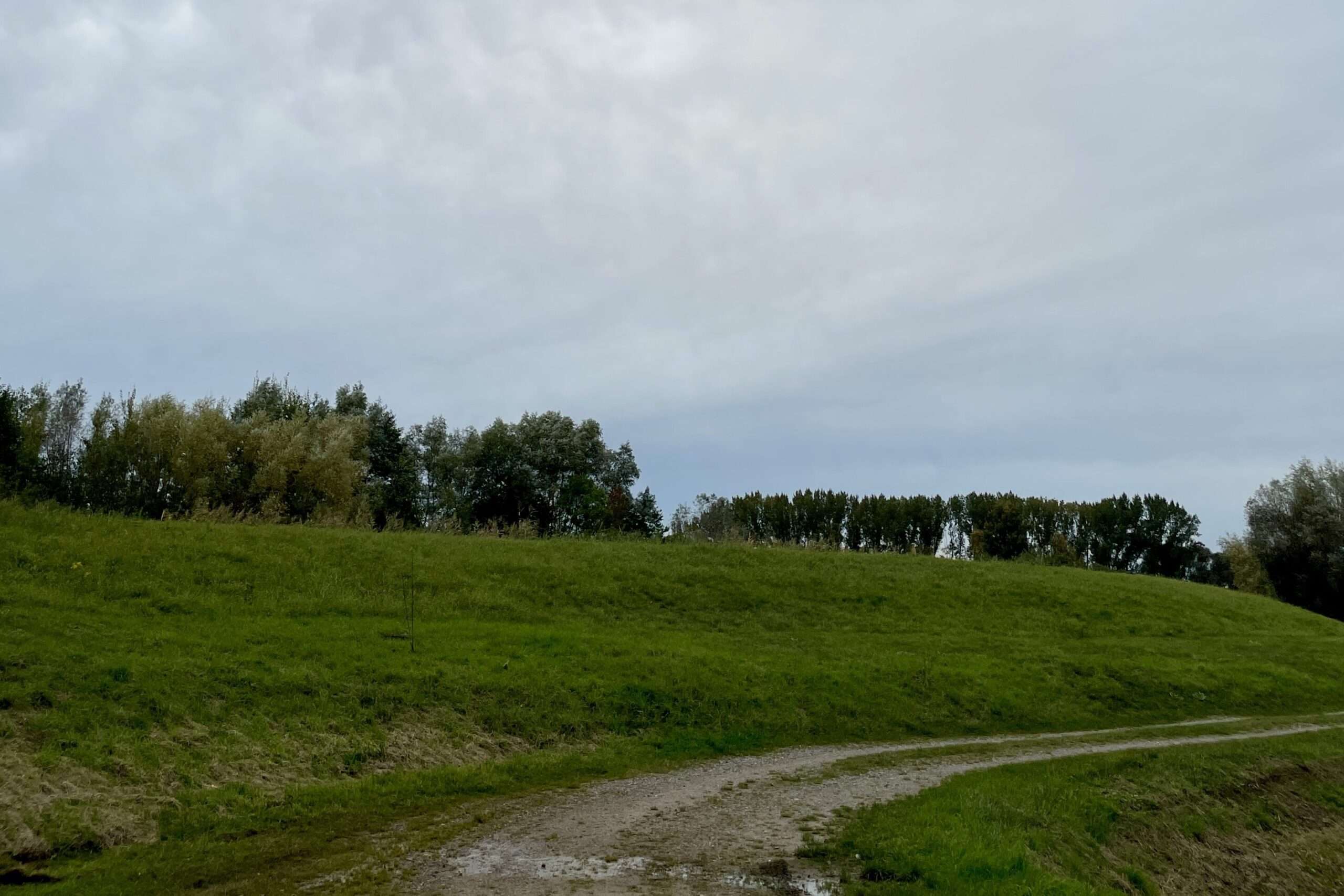 Grüner Deichwall, dahinter dunkle Wolken