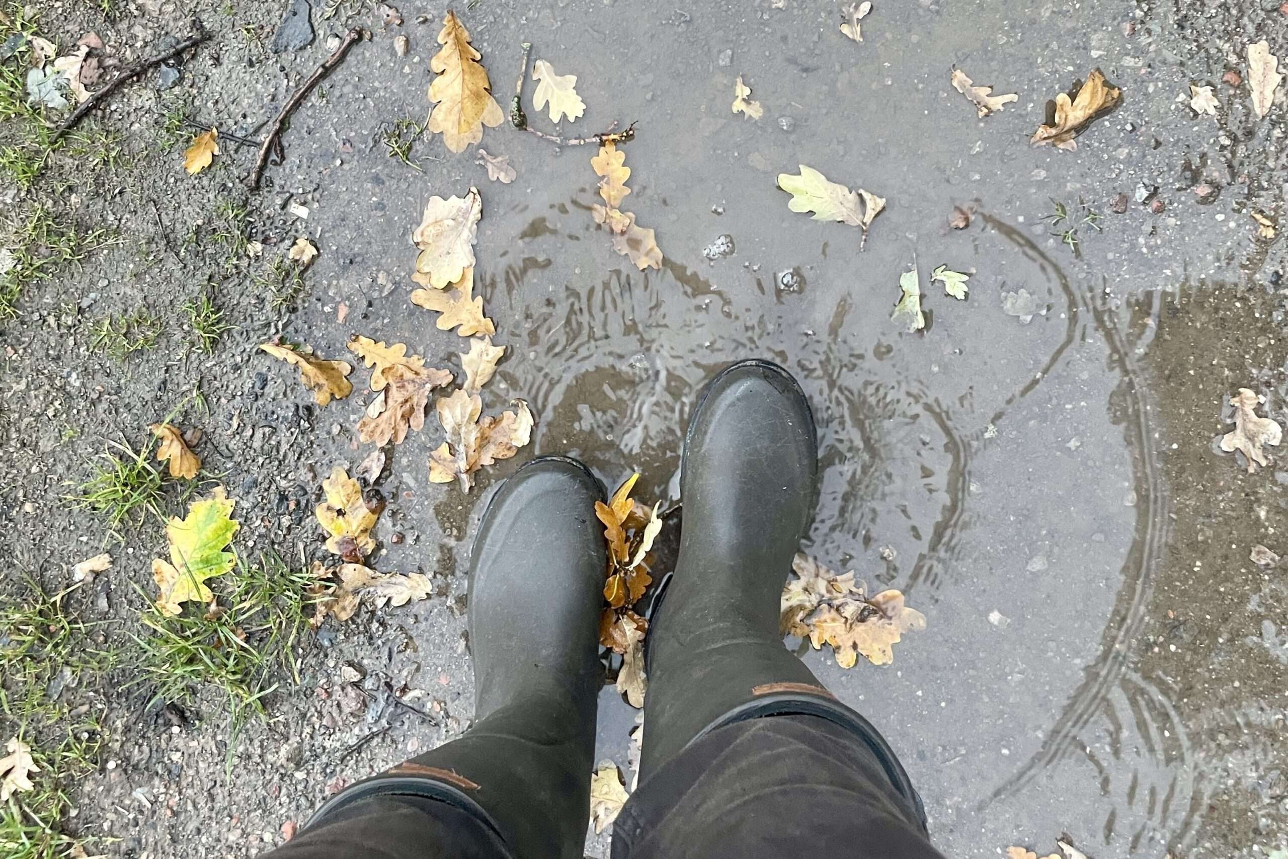 mit Gummistiefeln in der Pfütze, in welcher auch gelbes Eichenlaub vom Herbst liegt