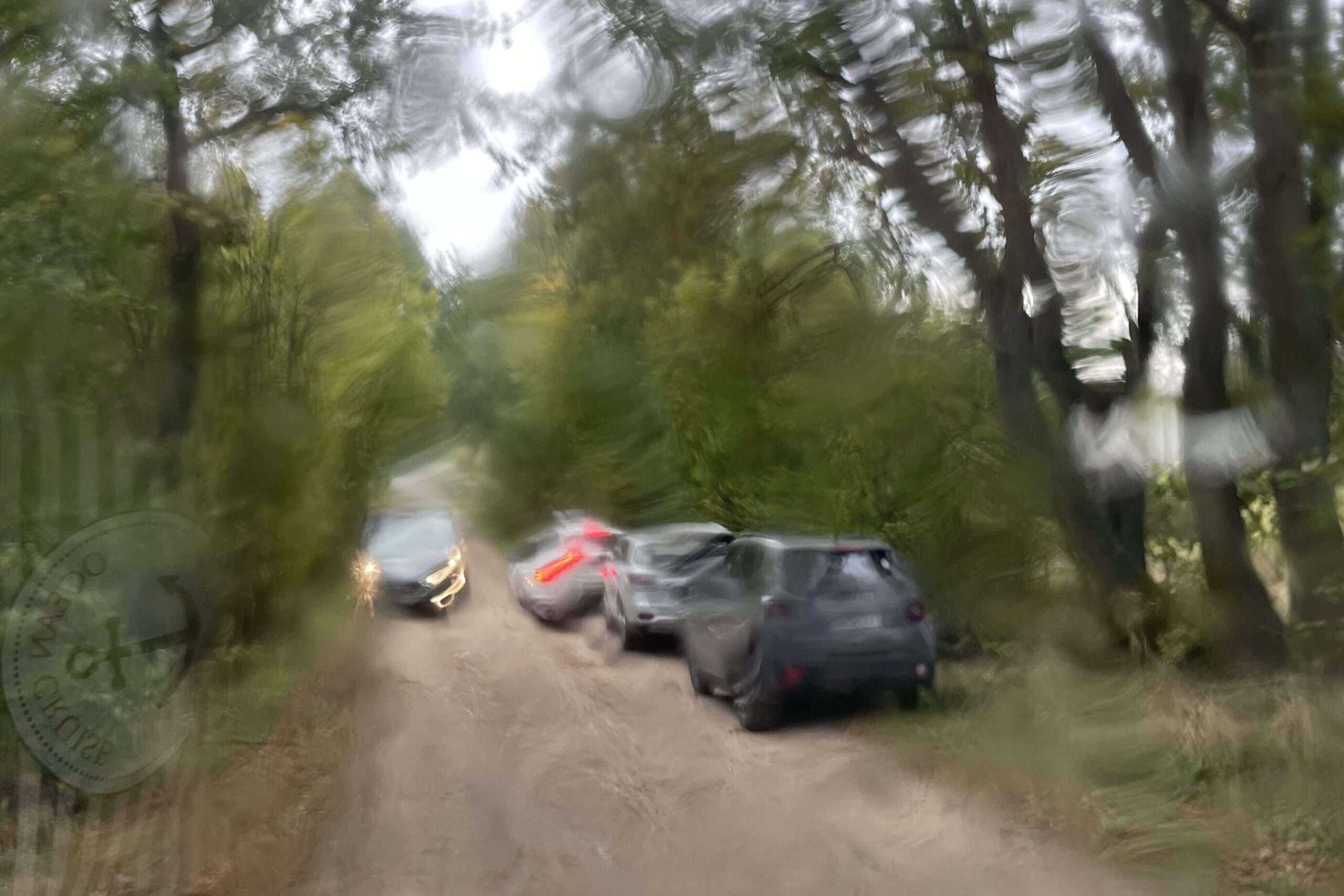 4 Autos auf einem Waldweg, verschwommen durch die regennasse Windschutzscheibe 