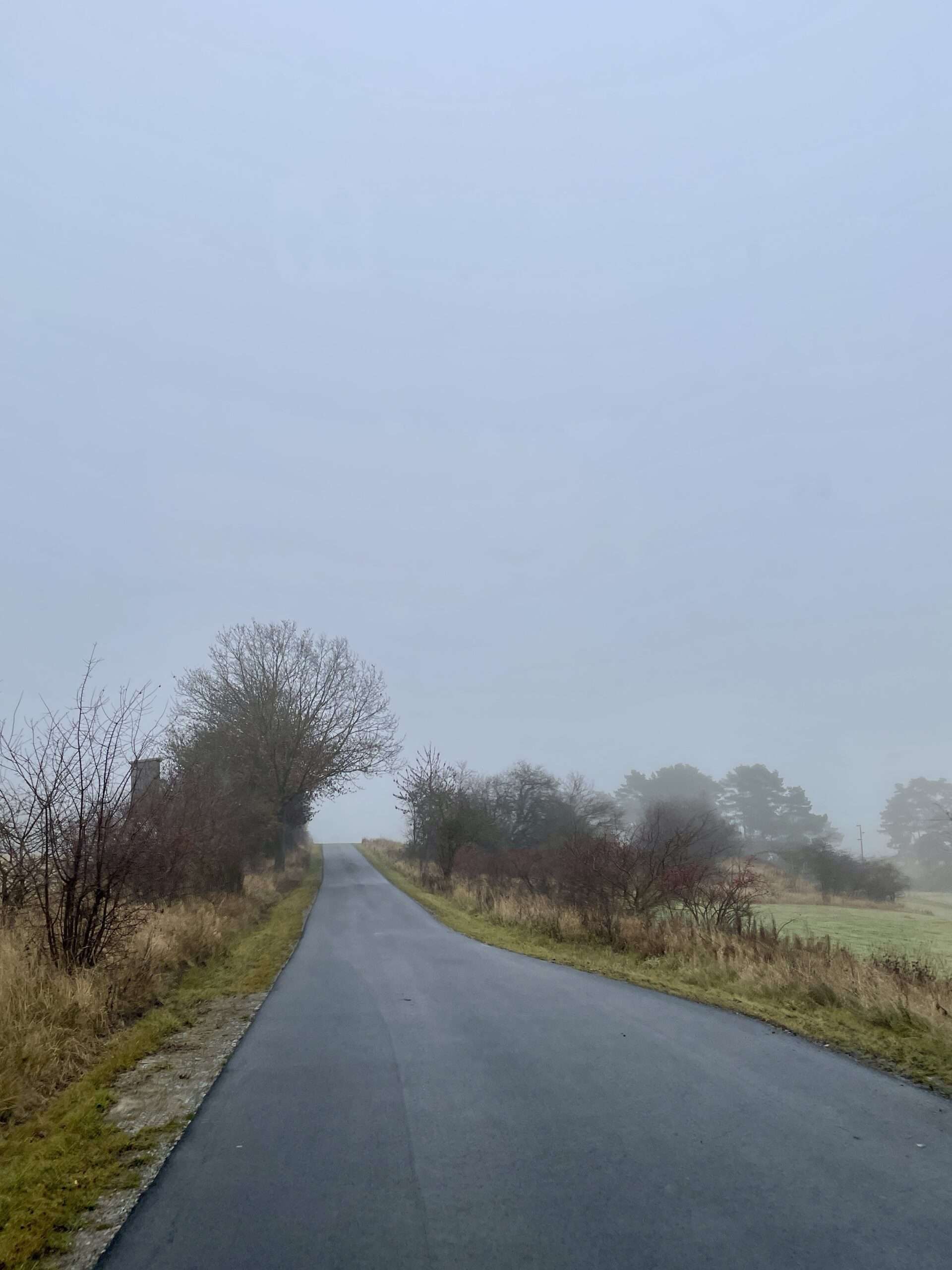 Landstraße mit Büschen an der Seite mit Nebel im Hintergrund von Gunhild Rudolph