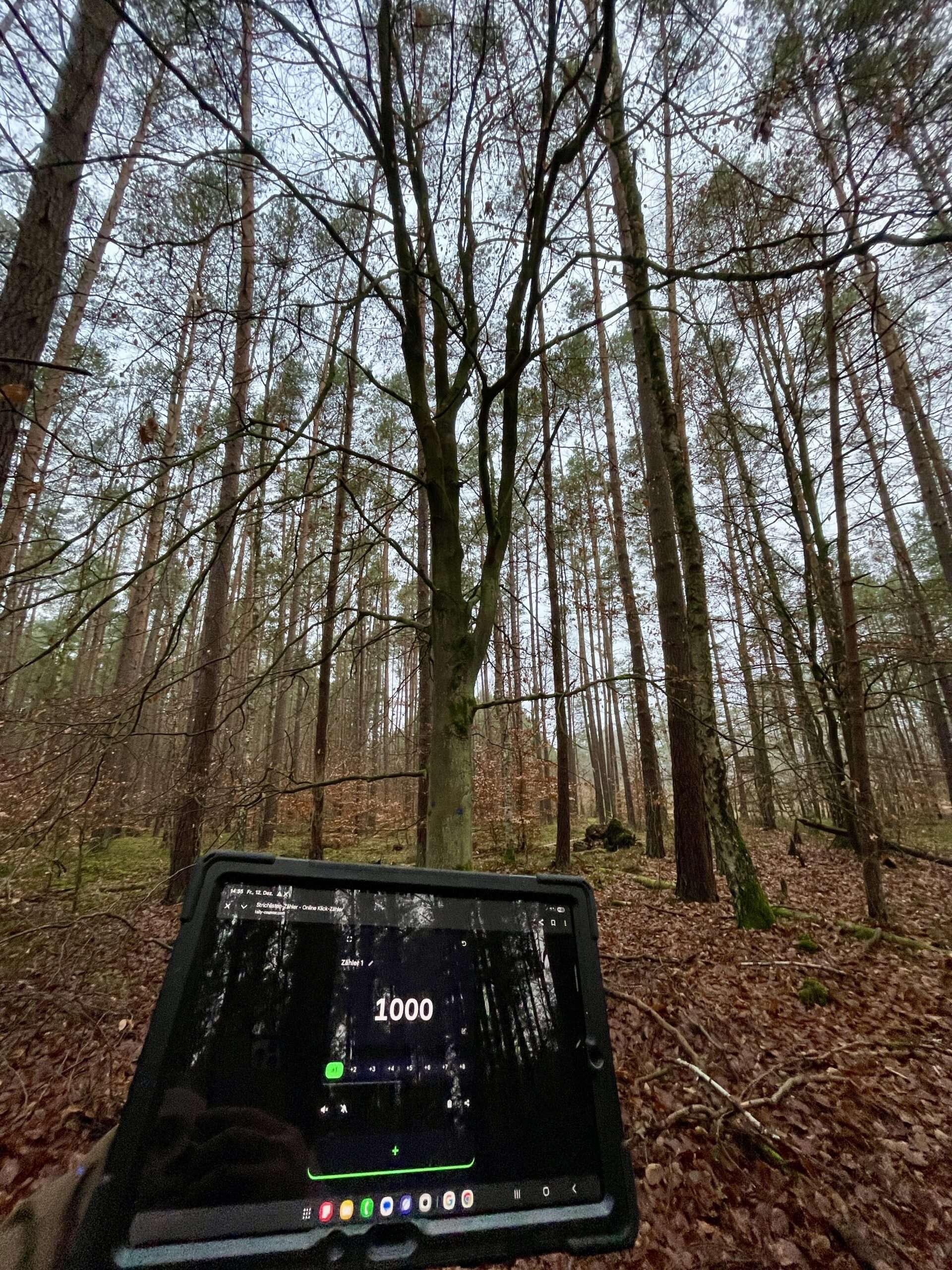 Tablet mit der Nummer 1000 vor einem Baum mit blauen Punkten. Bild von Gunhild Rudolph 