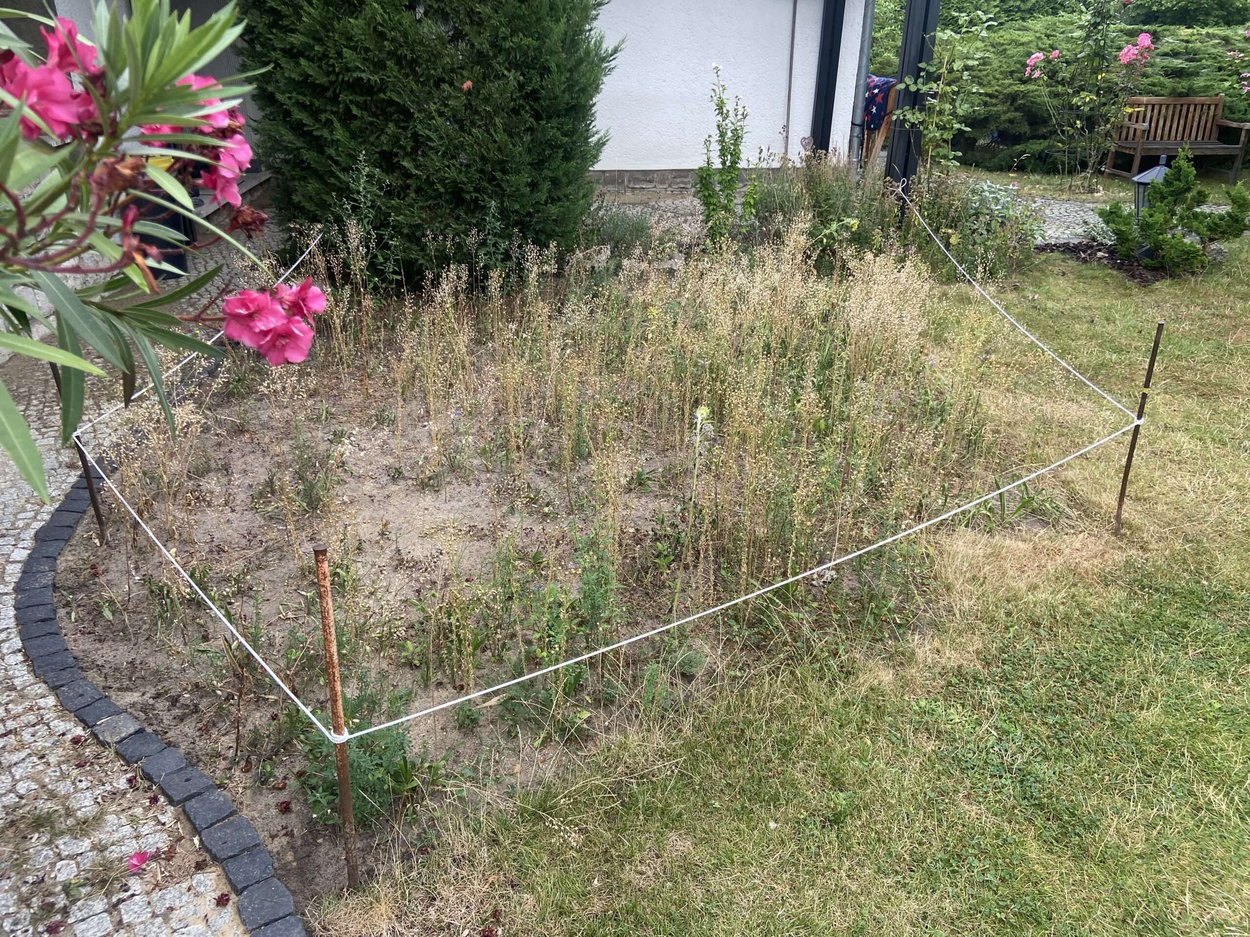 Naturnaher Gartenbereich in Ruhephase, bewusst mit Bändern abgegrenzt und nicht gestaltet
