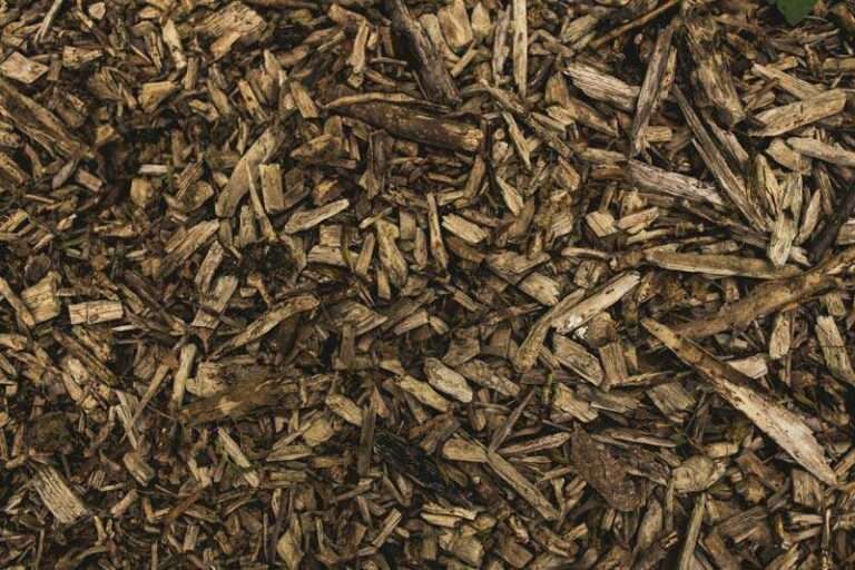 Eine Schicht Holzhäcksel als Mulchmaterial aus der Nähe.