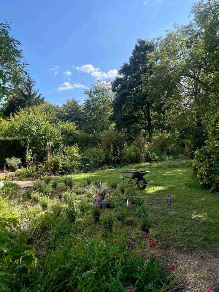 Ein üppig bewachsener Garten mit Rasen, Bäumen und Beeten im Sommer.