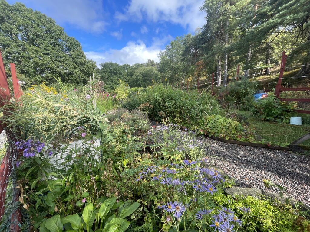 Naturnaher Garten mit Kiesweg und Staudenbeeten